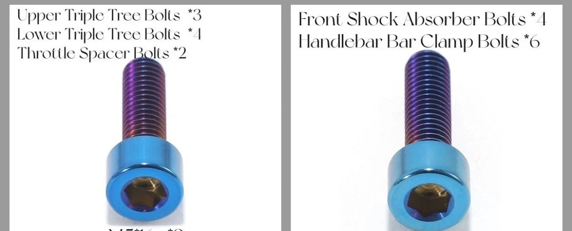 Surron ultra bee titanium kit